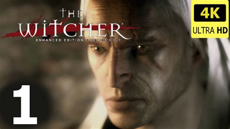 the witcher enhanced edition guide.